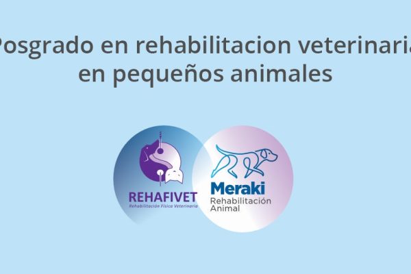 Posgrado en rehabilitacion veterinaria en pequeños animales